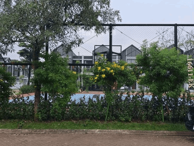 place photo 10