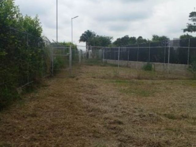 place photo 23