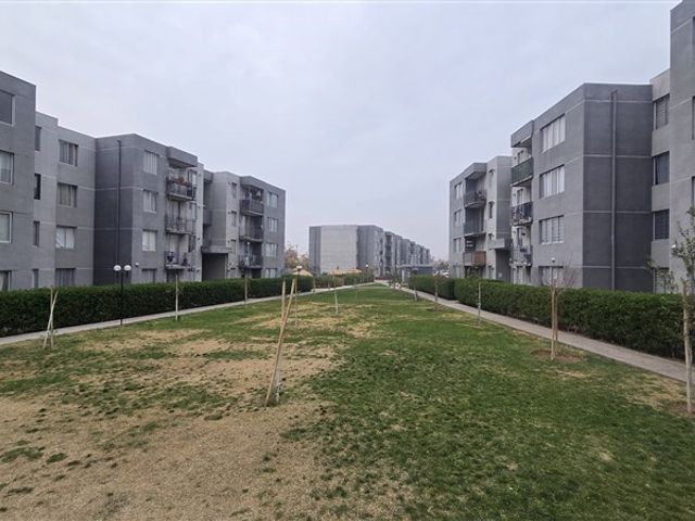 place photo 40