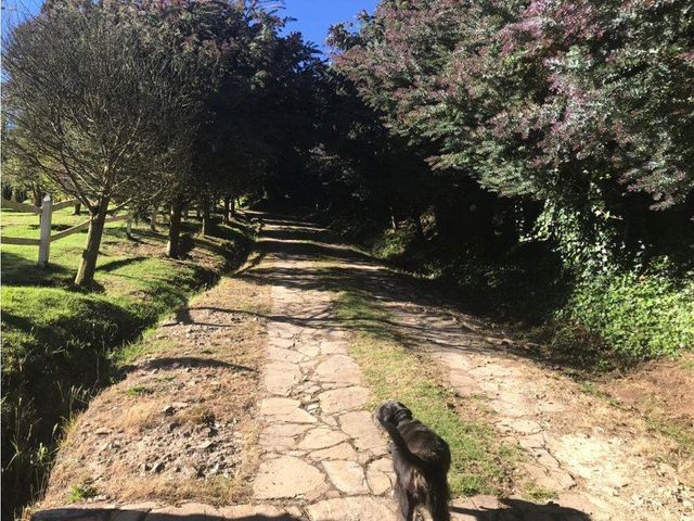 place photo 31