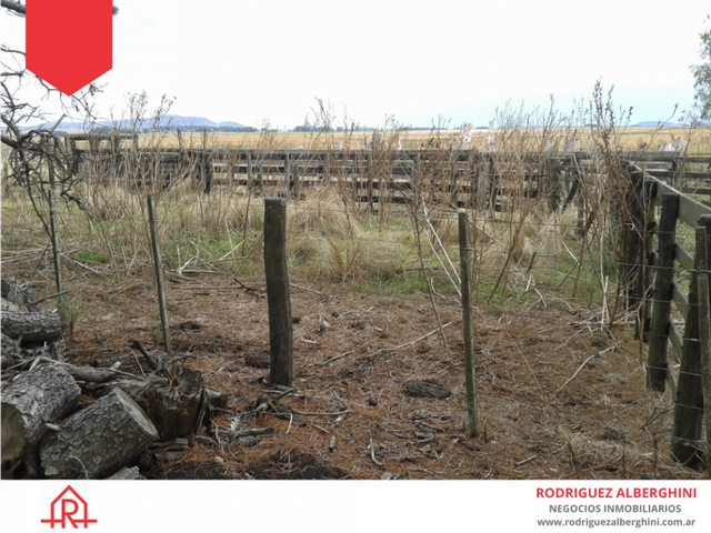 place photo 18