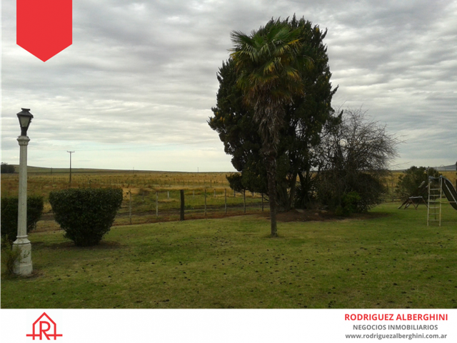 place photo 15