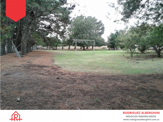 place photo 16