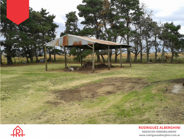 place photo 13