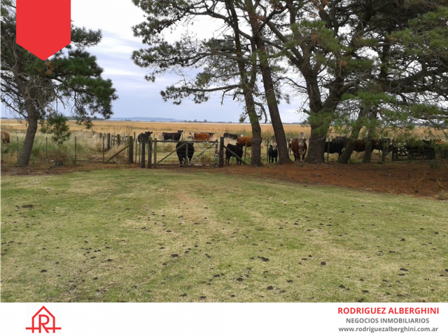 place photo 20