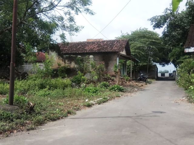 place photo 4