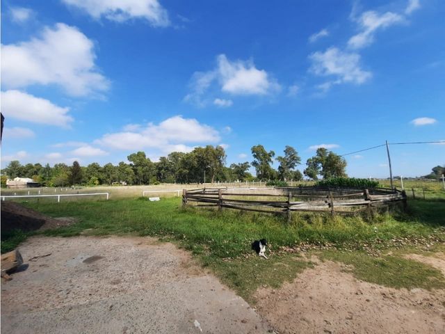 place photo 15