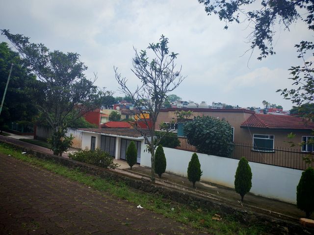 place photo 40