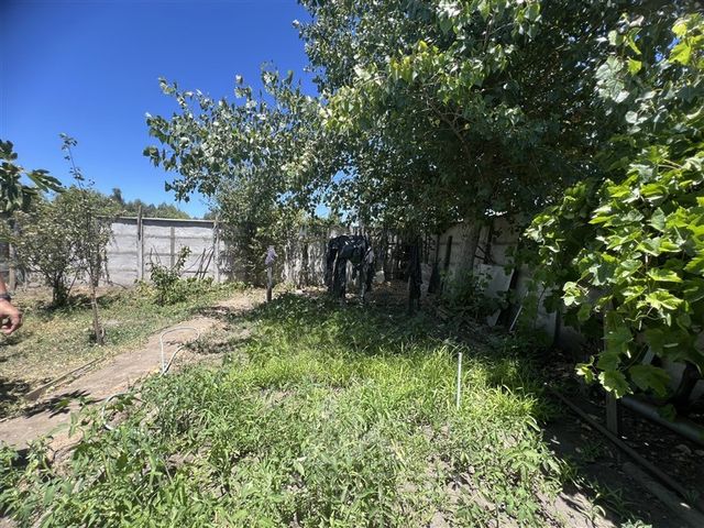 place photo 35