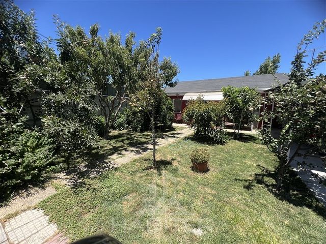place photo 37