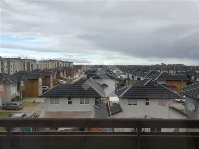 place photo 37