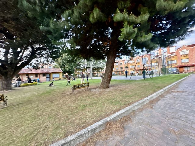 place photo 26