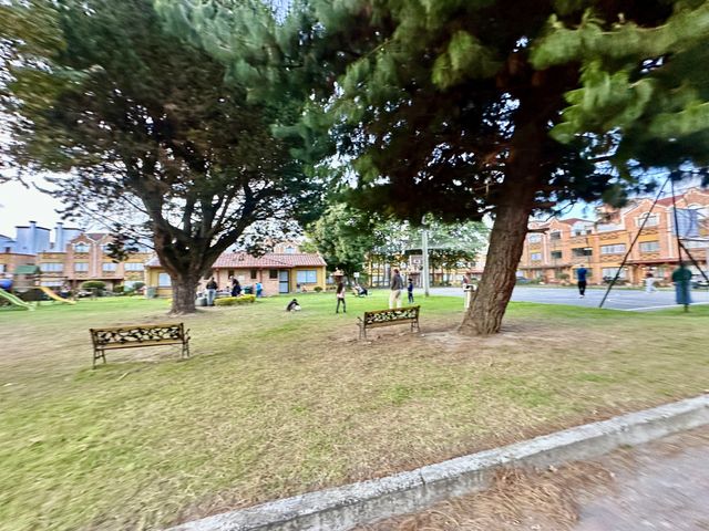 place photo 28