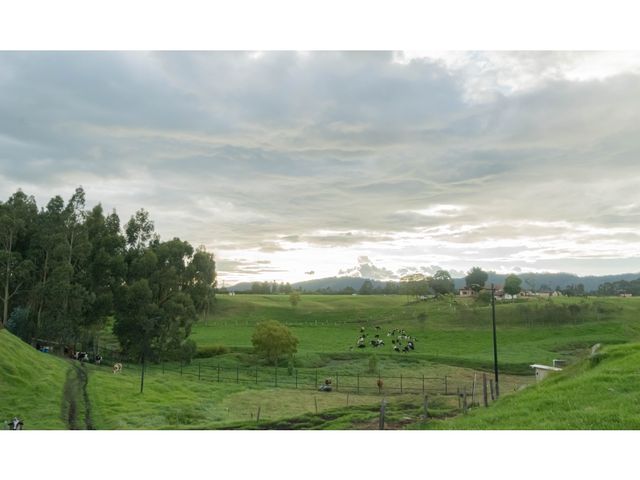 place photo 47