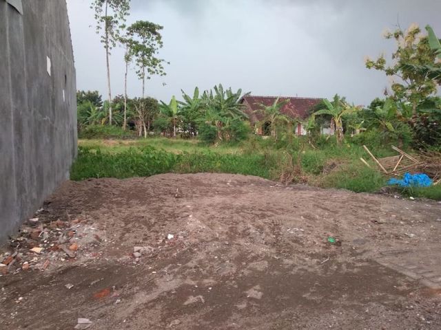 place photo 5