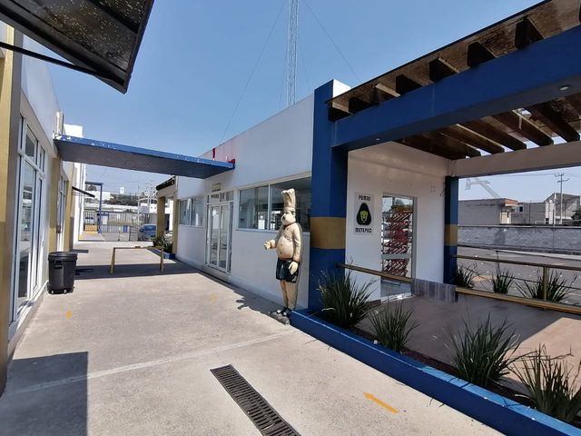 place photo 15