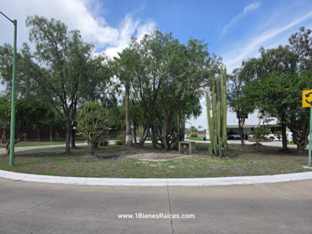 place photo 9