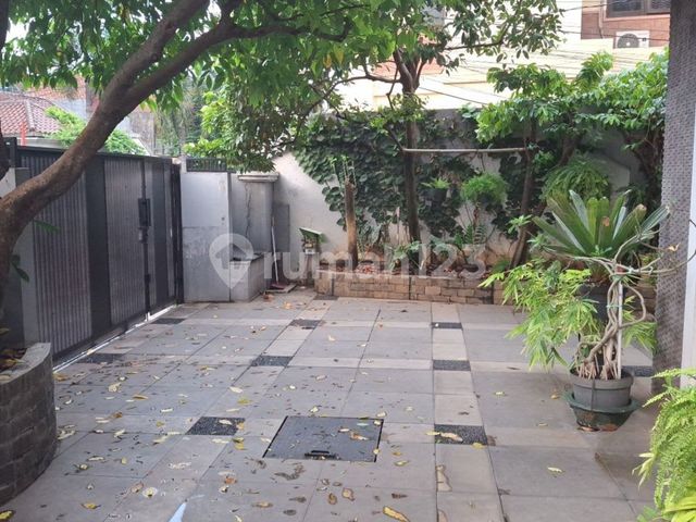 place photo 10