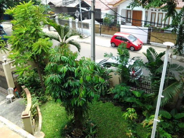 place photo 7