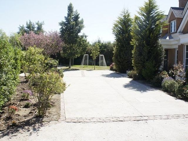 place photo 37