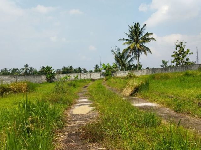 place photo 9