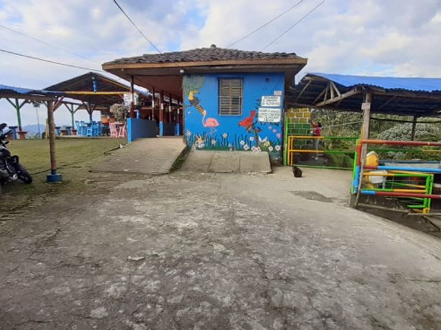 place photo 16