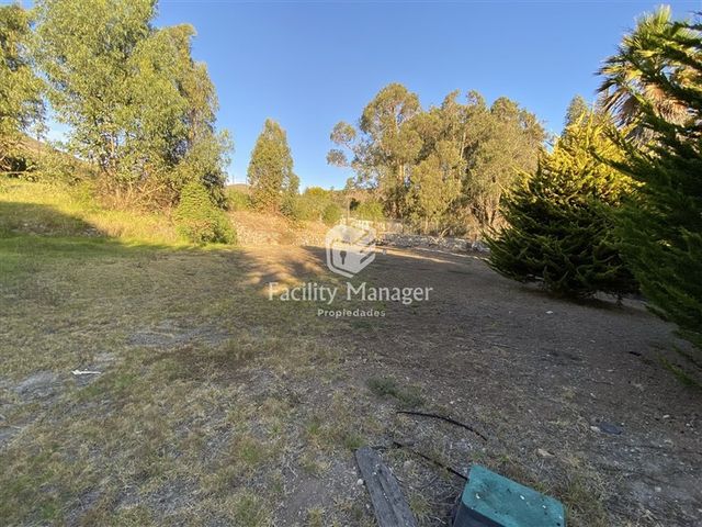 place photo 54