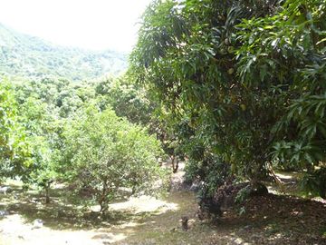 place photo 29