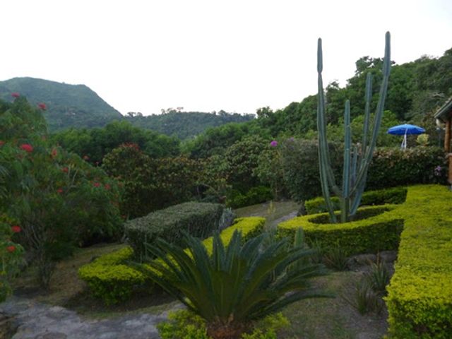place photo 27
