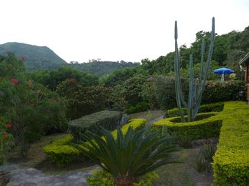 place photo 27