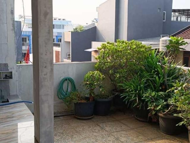 place photo 9