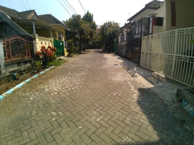 place photo 14
