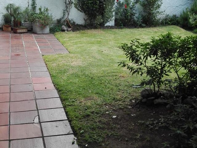 place photo 26