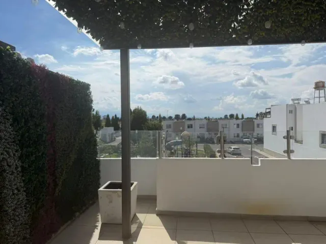 place photo 23