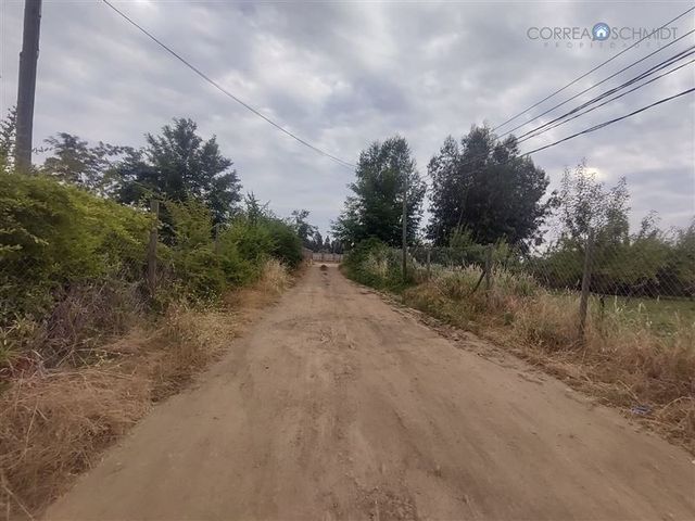 place photo 49