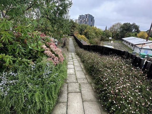 place photo 21