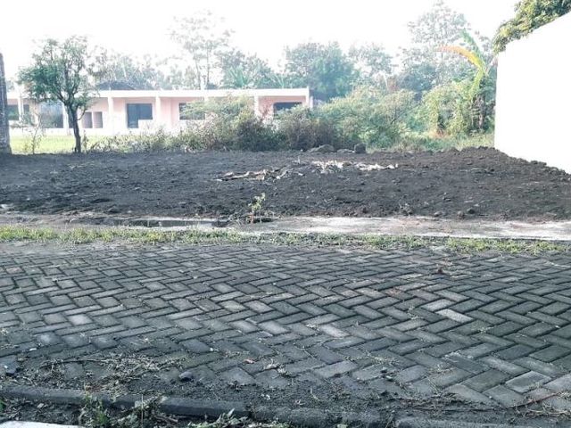 place photo 2