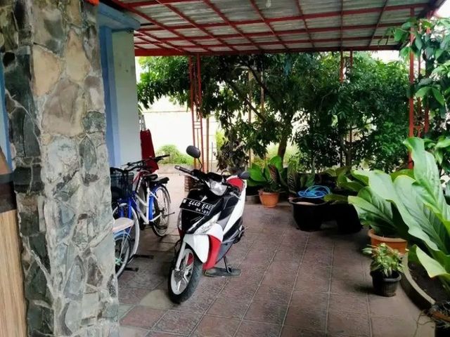 place photo 14