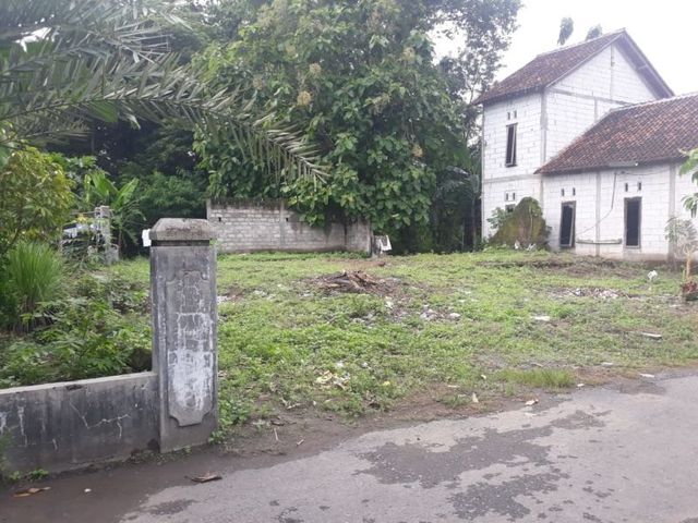 place photo 3