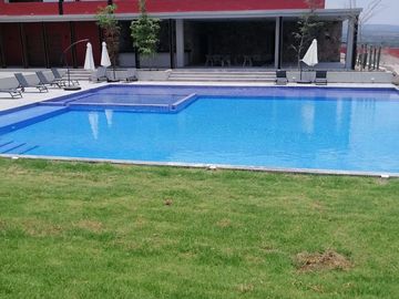 place photo 18