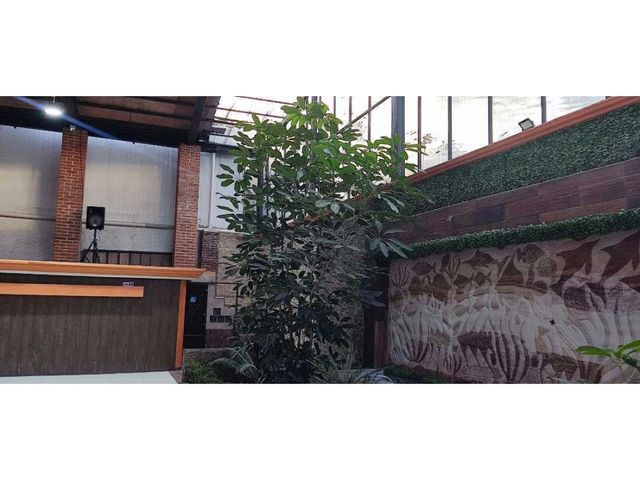 place photo 23