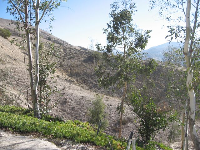 place photo 27