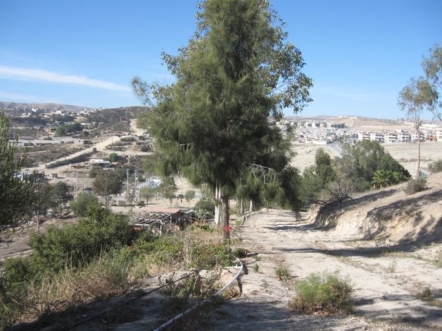 place photo 26