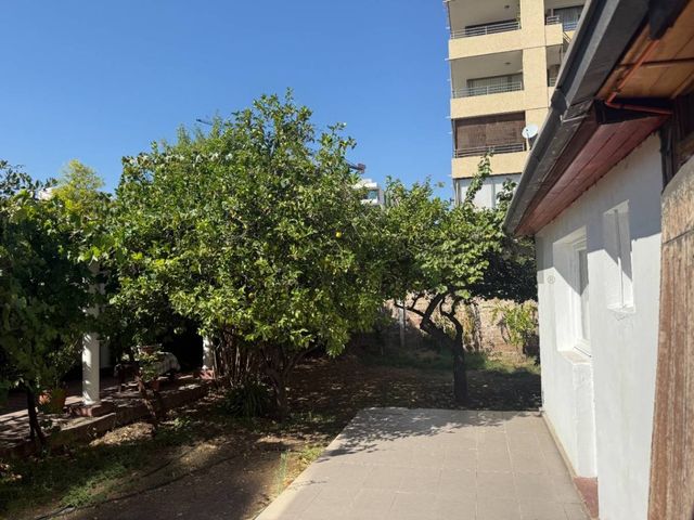 place photo 26