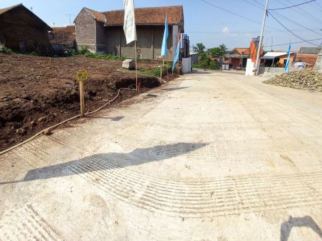 place photo 12