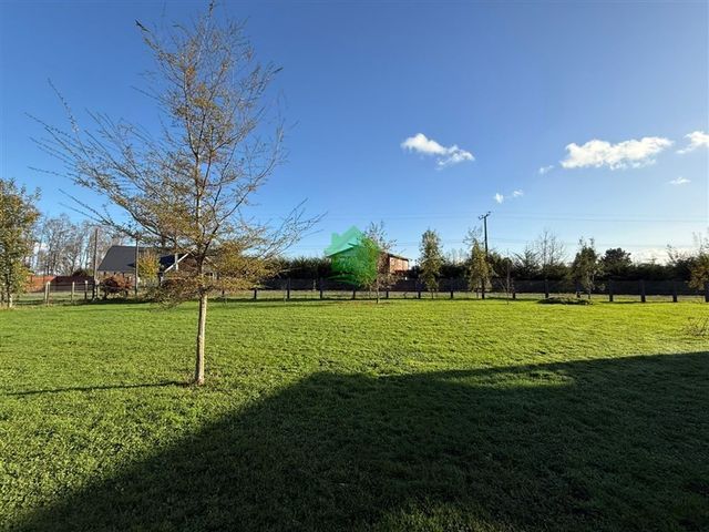 place photo 46