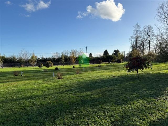 place photo 54