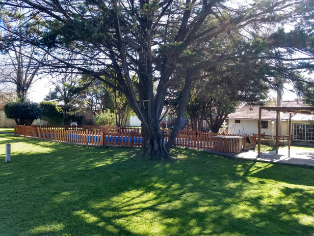 place photo 37