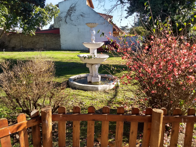place photo 39