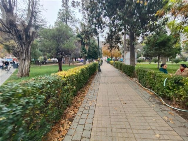 place photo 21
